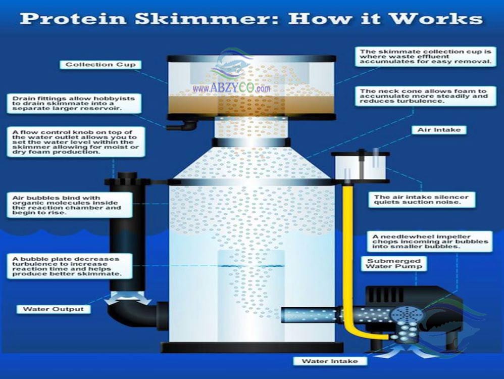 پروتئین اسکیمر در استخر پیش ساخته و سیستم مداربسته