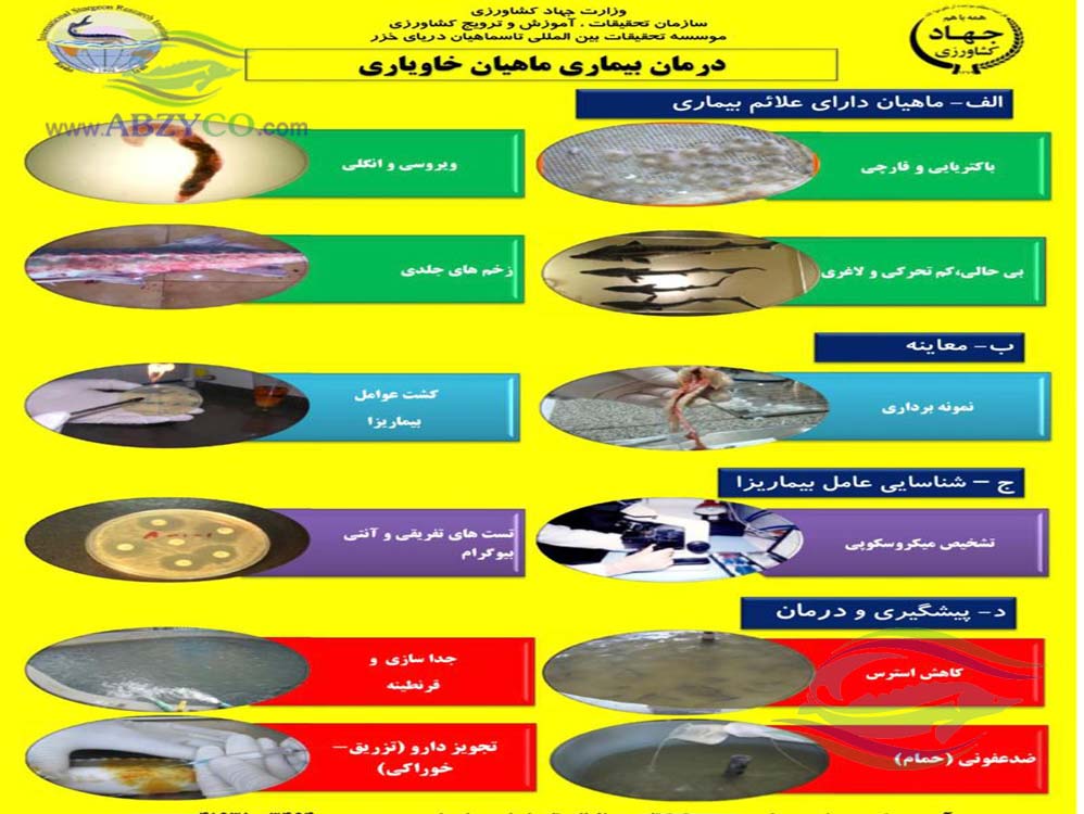 بیماری در استخر پیش ساخته پرورش ماهی خاویاری