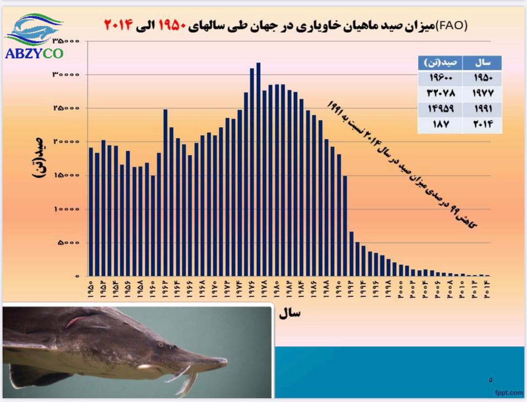 فیلم کارگاه آموزشی ماهیان خاویاری (بخش اول)