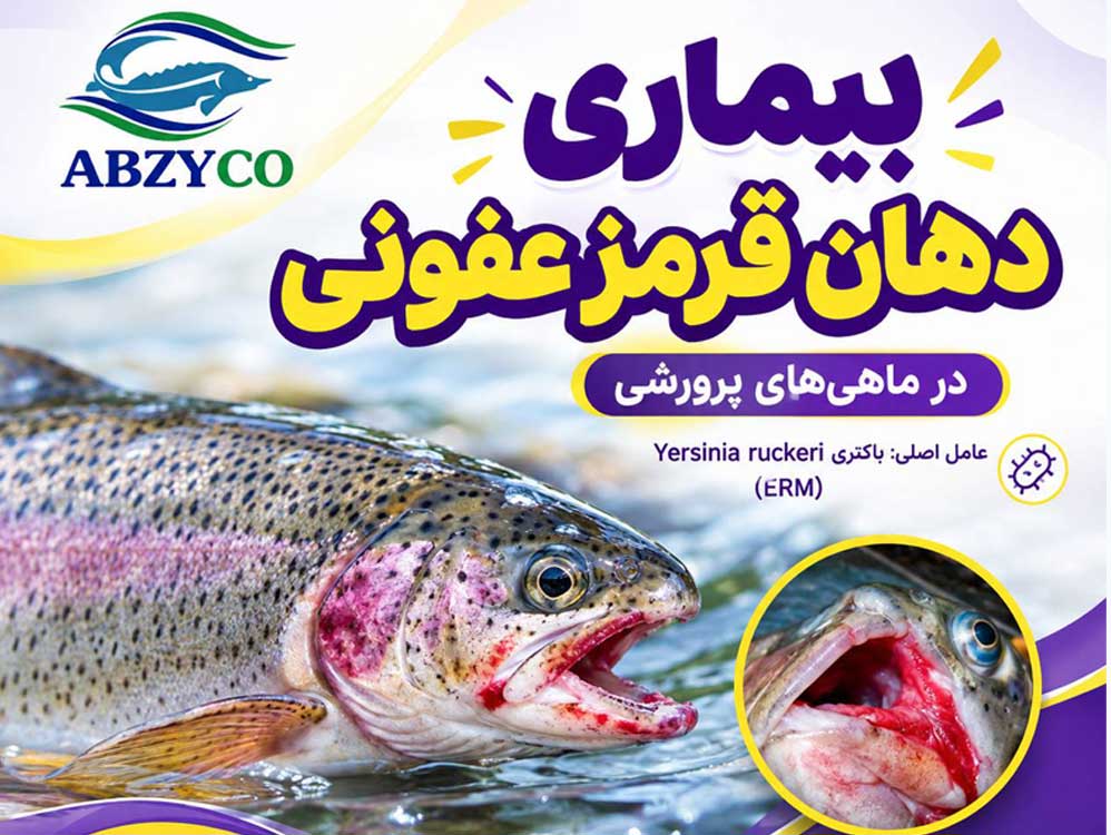 بیماری دهان قرمز عفونی در ماهی های پرورشی