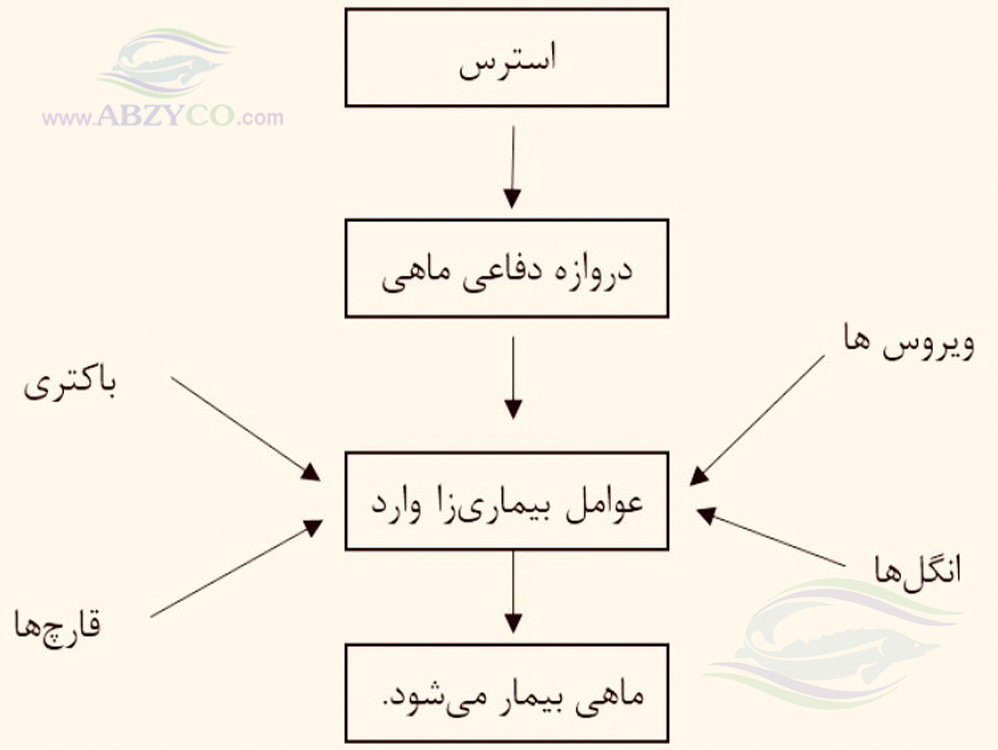 بیماری ماهیان در اثر استرس