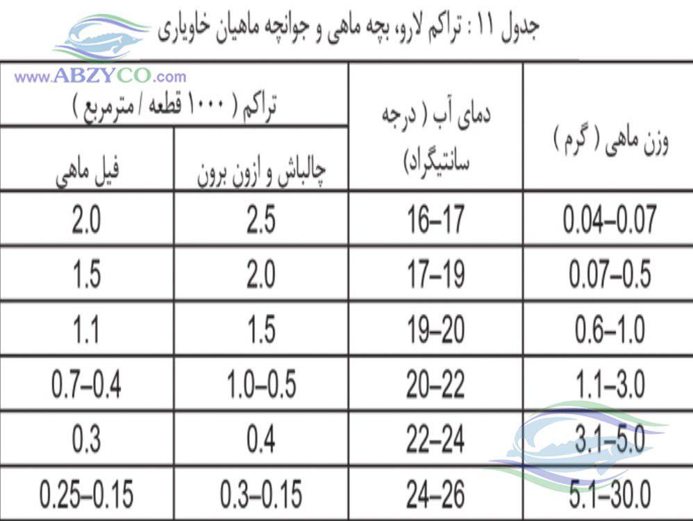 تراکم بچه ماهی خاویاری