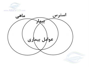 بیماری ماهیان زمانی رخ میدهد که دروازه دفاعی آن توسط عامل استرس‌زا باز شده و توان دفاعی ماهی در برابر عوامل بیماری‌زا در هم شکسته شود.