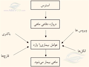 استرس عبارت است از همه واکنش‌هایی که ماهی در قبال تغییرات فیزیکی و شیمیایی محیط خود انجام می‌دهد که در صورت تکرار و افزایش شدت استرس، منجر به ایجاد عدم تعادل در ماهی خواهد شد