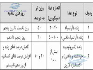 ماهی خاویاری و سازگاری آنها در پرورش متراكم با غذای دستی امری ضروری محسوب میشود. ازروزهشتم بـه ميزان 30 درصد وزن بـدن اقـدام بـه معرفـی غـذای كنسـانتره میشود.